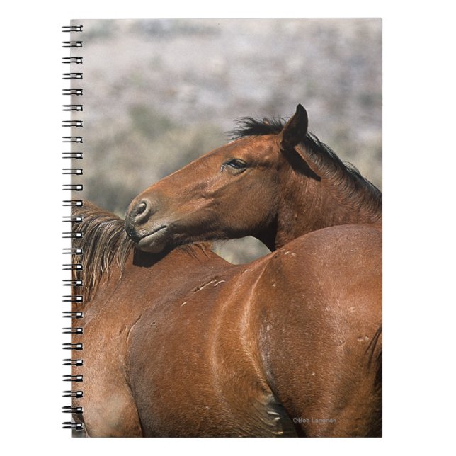 Wild Mustang Horses Touching Notebook (Front)