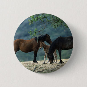 Wild Mustang Mare & Foal 2 Inch Round Button