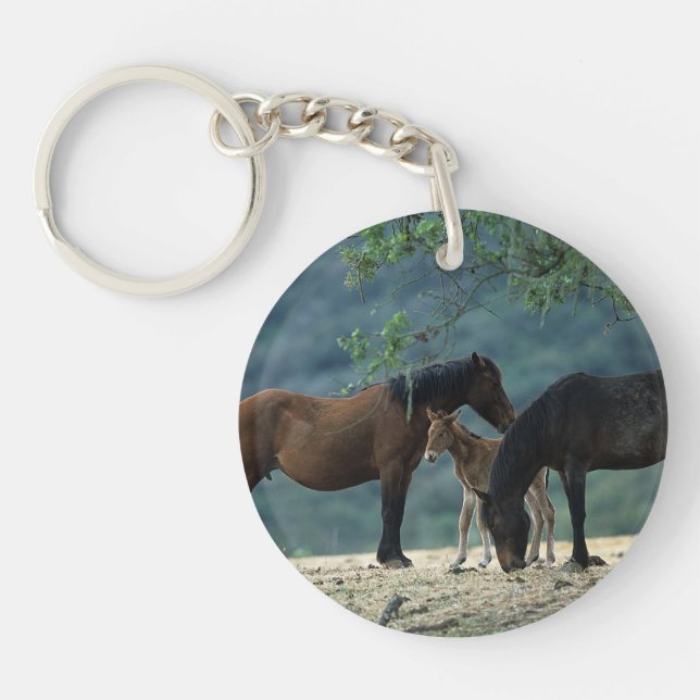 Wild Mustang Mare & Foal Keychain (Front)