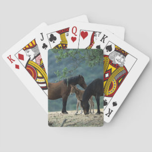 Wild Mustang Mare & Foal Playing Cards