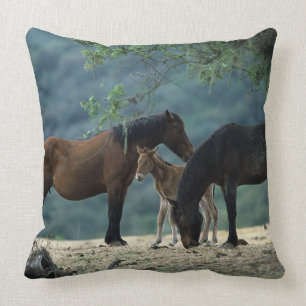 Wild Mustang Mare & Foal Throw Pillow