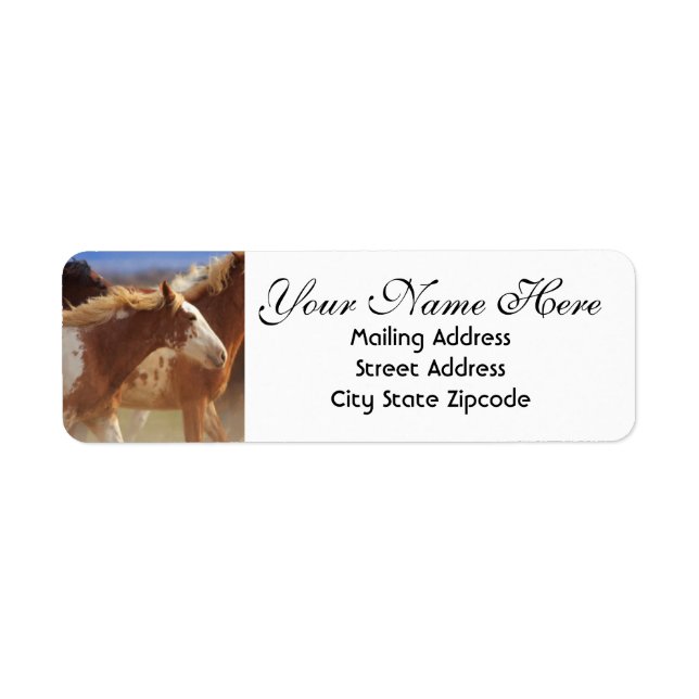 Wild Mustang Return Address (Front)