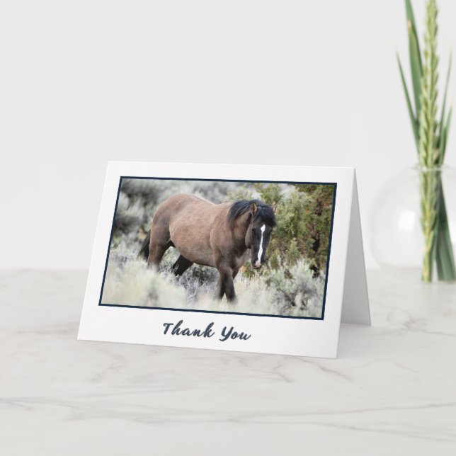 Wild Mustang Stallion Photo Thank You Card (Front)
