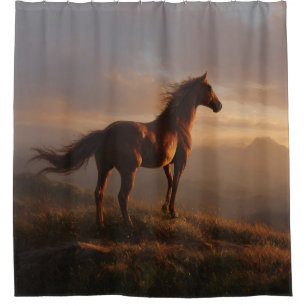Wild Mustang Watching the Sunset