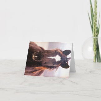 Wild Mustange Oklahoma Thank You Card
