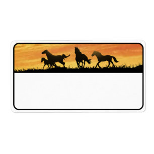 Wild Mustangs