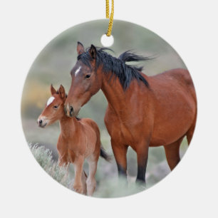 Wild Mustangs at Altamont Pass Ceramic Ornament
