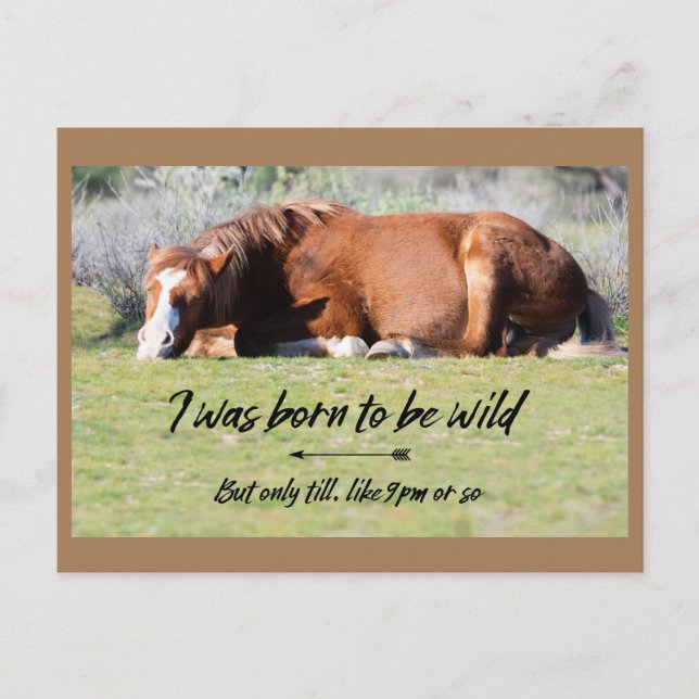 Wild Mustangs Forever Postcard (Front)