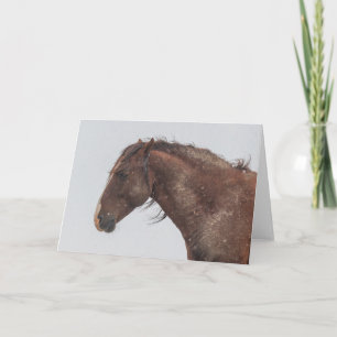 Wild Mustangs in the Snow card