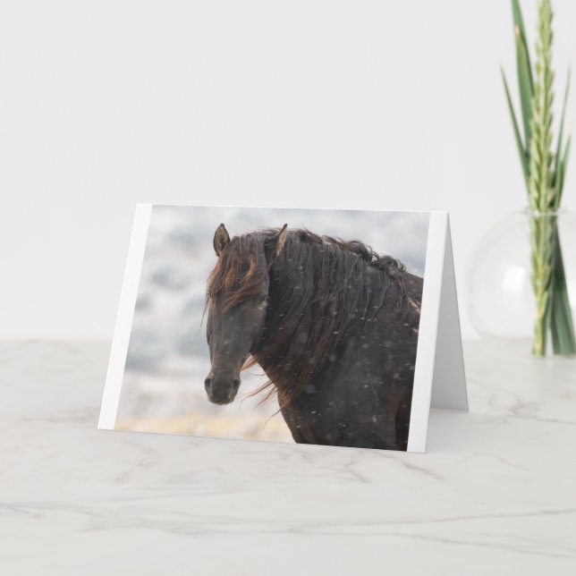 Wild Mustangs in the Snow card (Front)