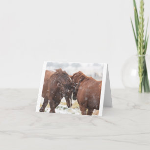 Wild Mustangs in the Snow card