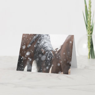 Wild Mustangs in the Snow card