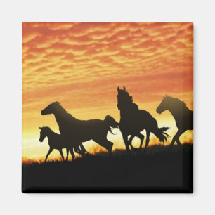 Wild Mustangs Magnet