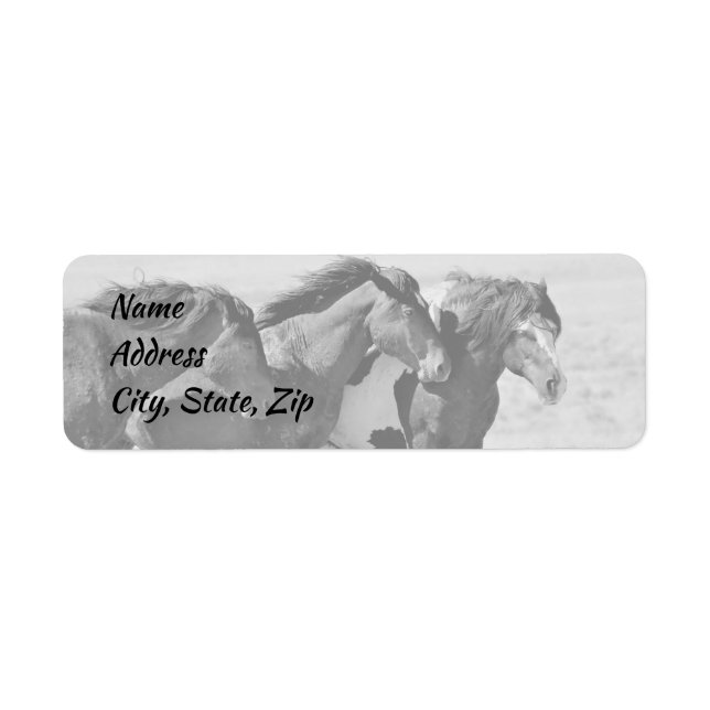 Wild Mustangs of the West Address (Front)