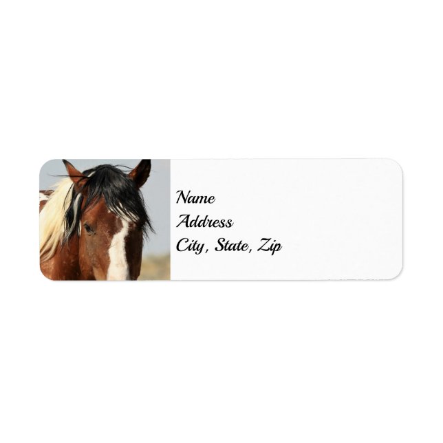 Wild Mustangs of the West Address (Front)
