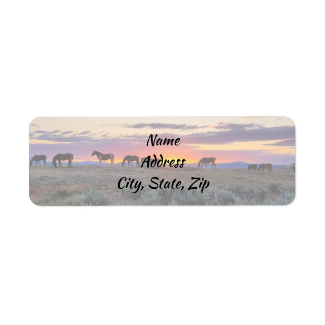 Wild Mustangs of the West Address (Front)