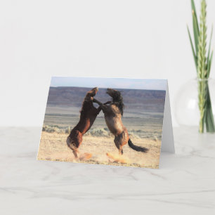 Wild Mustangs of the West Card