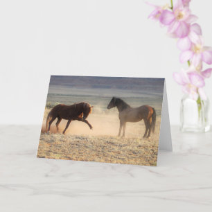 Wild Mustangs of the West Card