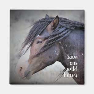 Wild Mustangs of the West Magnet