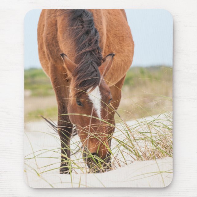 Wild Mustangs or Banker Horses Mouse Pad (Front)