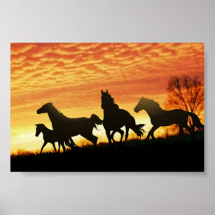 Wild Mustangs Poster