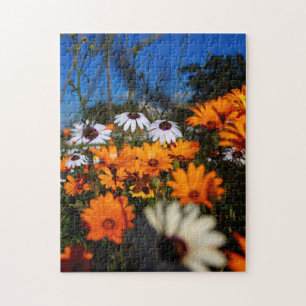Wild Namaqualand flowers floral Jigsaw Puzzle