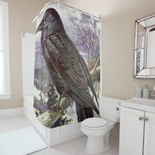 Wild Nature Art - The Raven