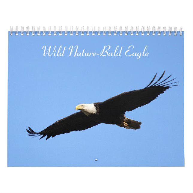 Wild Nature-Bald Eagle Calendar (Cover)