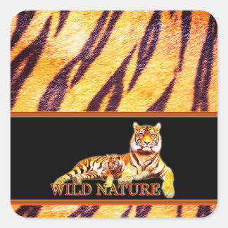 WILD NATURE - TIGER design collection Square Sticker