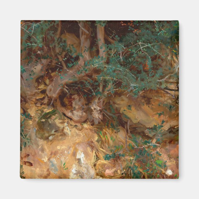 Wild Olive Tree Roots, 1908 by John Singer Sargent Magnet (Front)