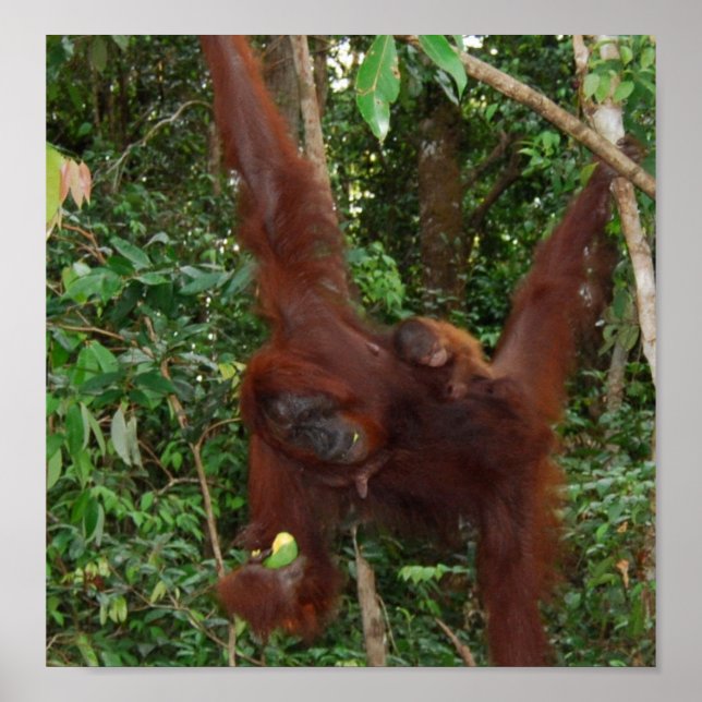 Wild One animal mother and baby Poster (Front)