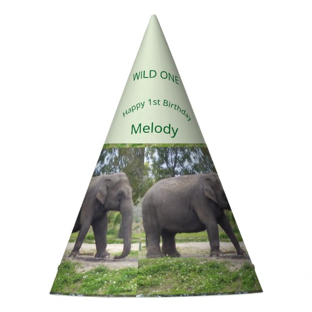 Wild One Elephant Birthday Cone Design Party Hat (Front)