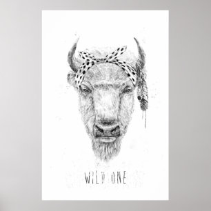Wild one poster