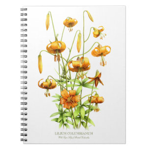 Wild Orange Tiger Lily Flowers Botanical Design Notebook