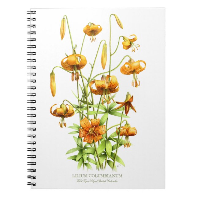 Wild Orange Tiger Lily Flowers Botanical Design Notebook (Front)