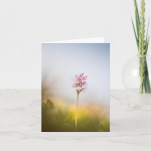 Wild Orchid Nature Photo Card