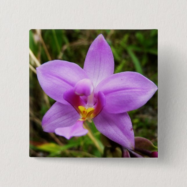 Wild Orchid Purple Tropical Flower 2 Inch Square Button (Front)