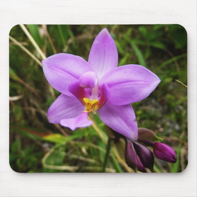 Wild Orchid Purple Tropical Flower Mouse Pad (Front)