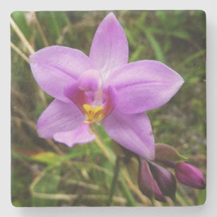 Wild Orchid Purple Tropical Flower Stone Coaster