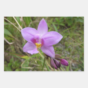 Wild Orchid Wrapping Paper Sheet