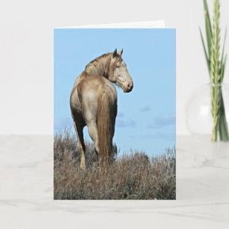 Wild Oregon Mustang Stallion Greeting Card
