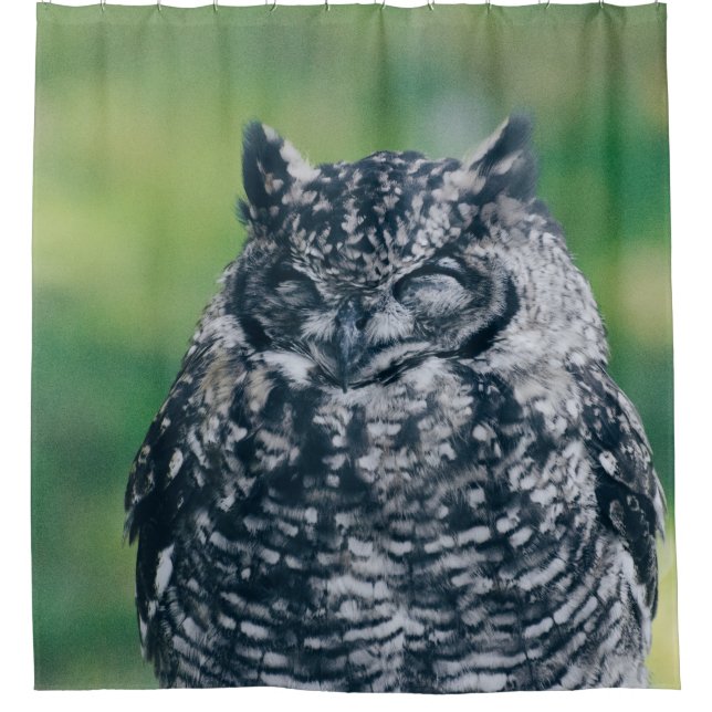 WILD OWL IN FRENCH FOREST (Front)