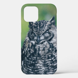 WILD OWL IN FRENCH FOREST iPhone 12 CASE