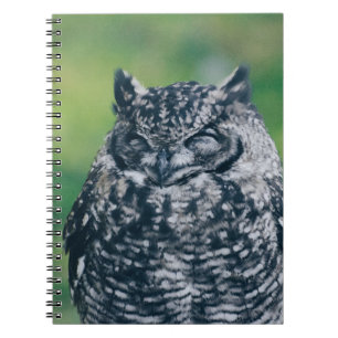 WILD OWL IN FRENCH FOREST NOTEBOOK