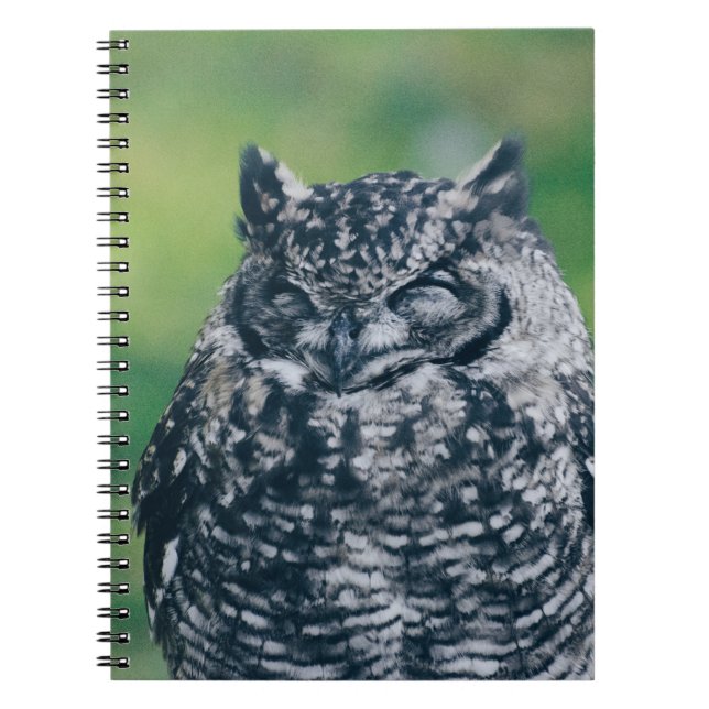 WILD OWL IN FRENCH FOREST NOTEBOOK (Front)