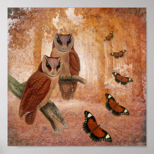 Wild Owls & Butterflies Poster