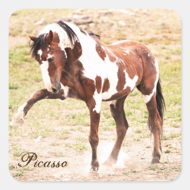 Wild Paint Horse Stallion Picasso Stickers (Front)