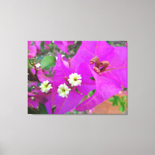 Wild Pansies Canvas Print