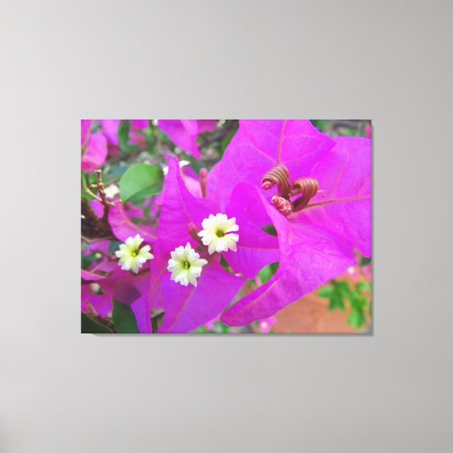 Wild Pansies Canvas Print (Front)