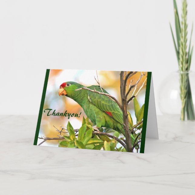 Wild Parrot Thankyou! Card (Front)